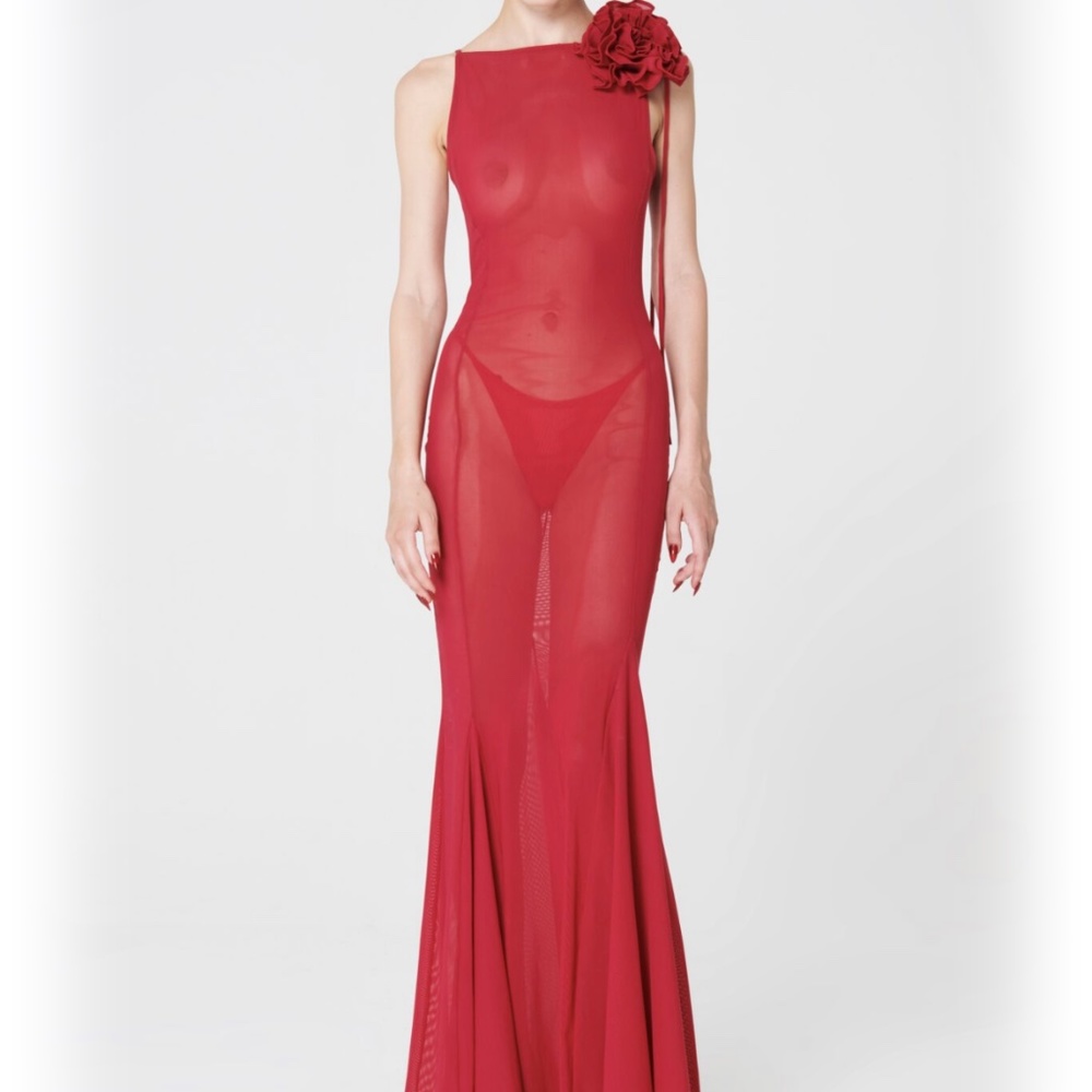 Sheer mesh Fancí Club gown